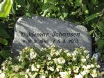 Valdemar Johansen  .JPG
